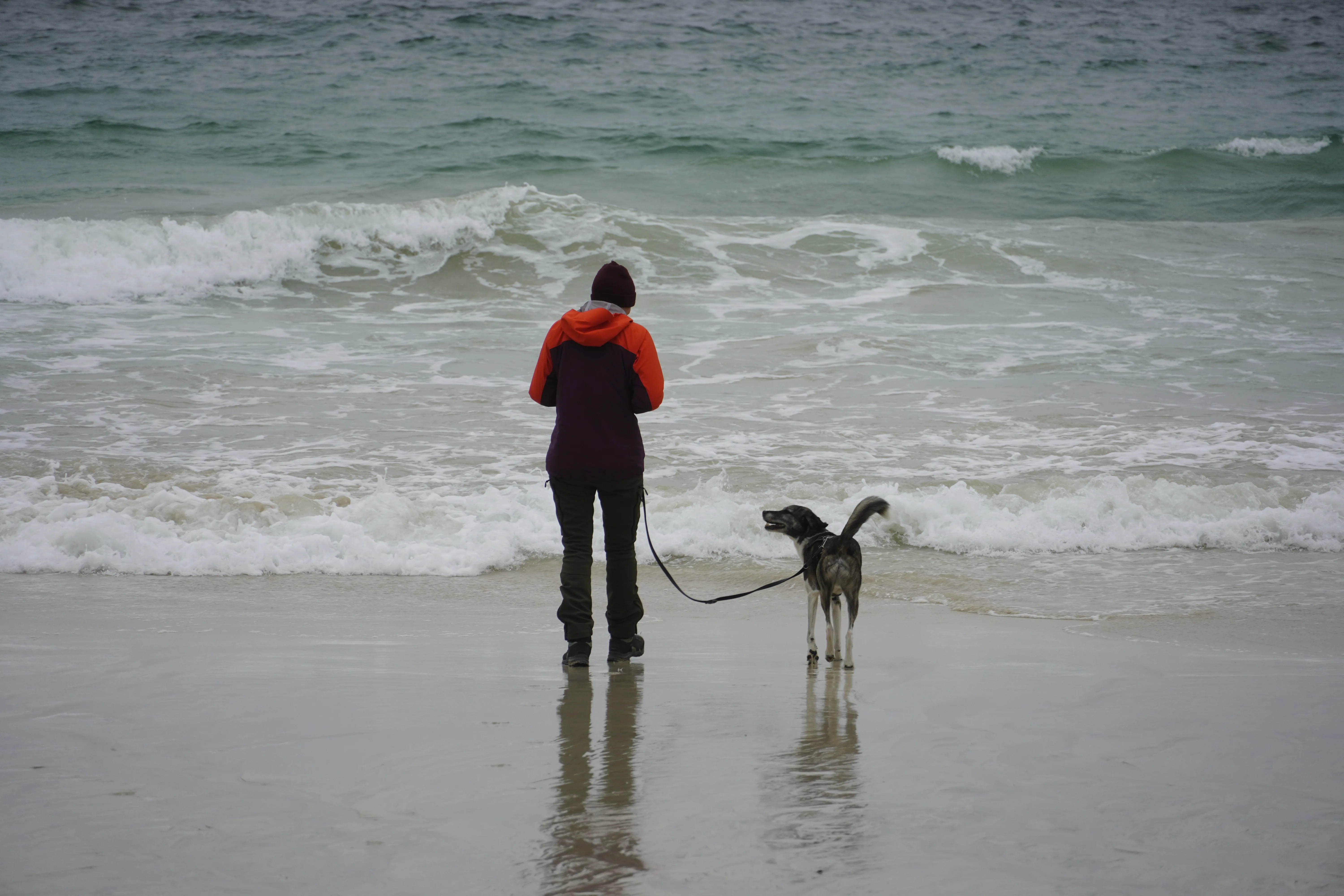 Isabelle und Morty am Meer